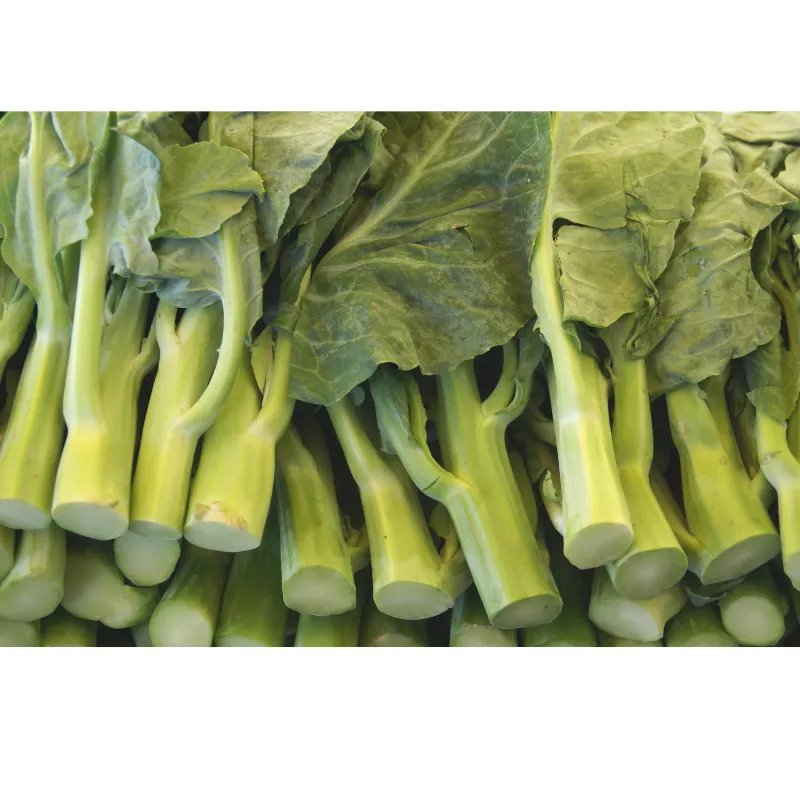 China Kai Lan, 1x5.5kg