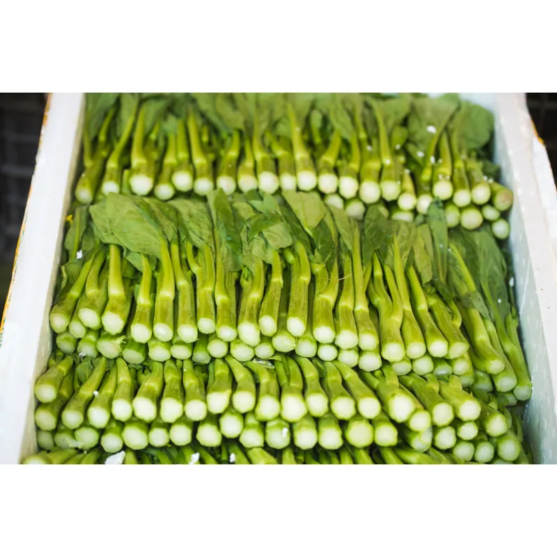 China Choi Sum, 1x5kg