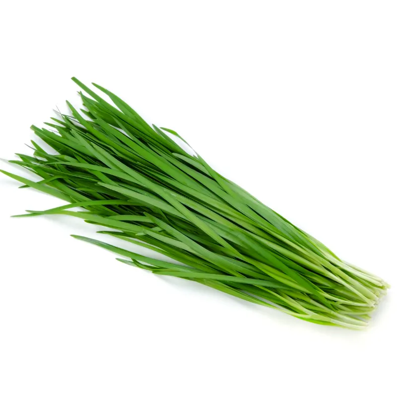 Kow Choi Chinese Chives, 1x200g