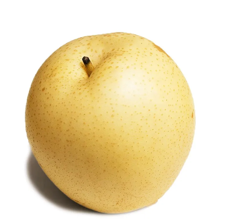 Asian Century Pear, 1xpc