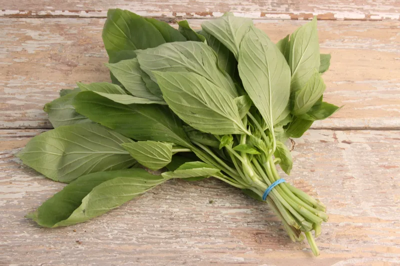 Thai Sweet Basil, 1x100g