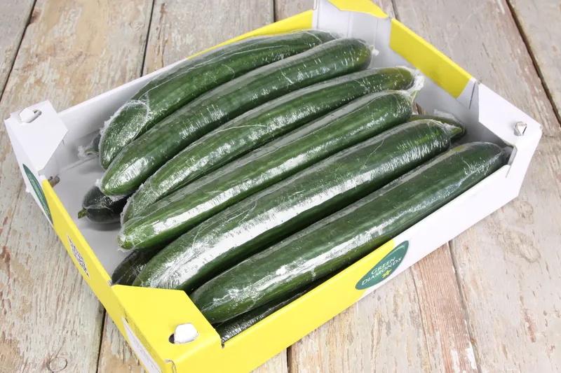 Cucumber, 12-14pcs