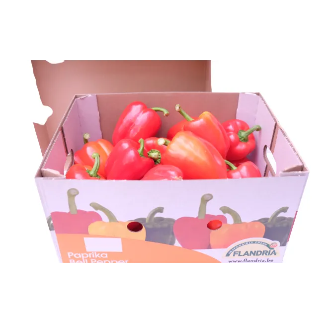 Red Bell Peppers, 1x5kg