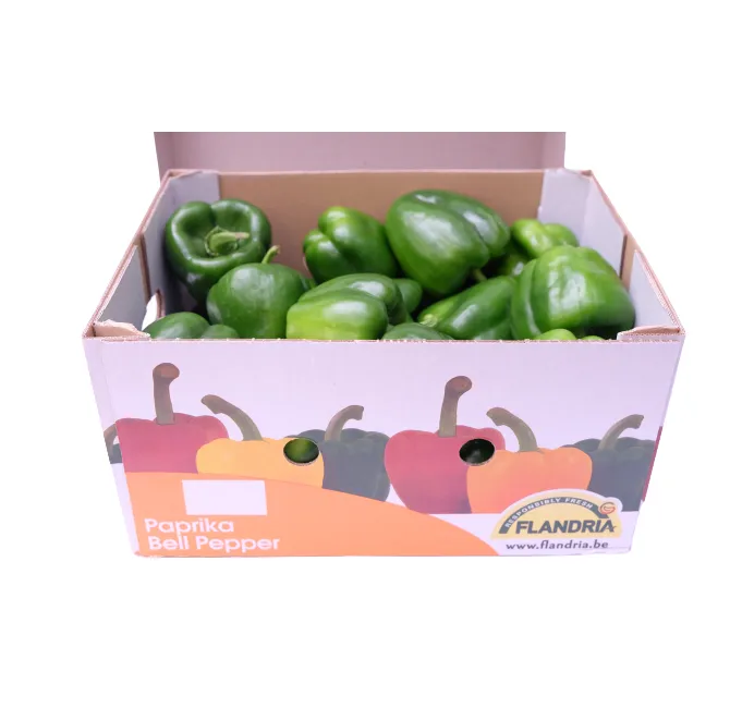 Green Bell Peppers, 1x5kg
