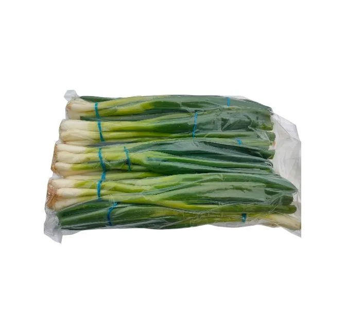 Salad Spring Onion, 1x12 Bunch