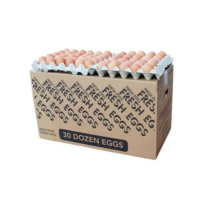 Fresh Eggs Large UK Lion Grade, 1x360pcs (30dzn)