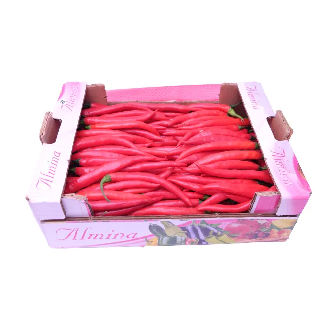 Red Dutch Long Chillies, 1x3kg