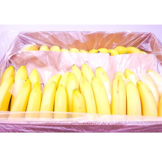 Ripe Bananas, 1x16kg