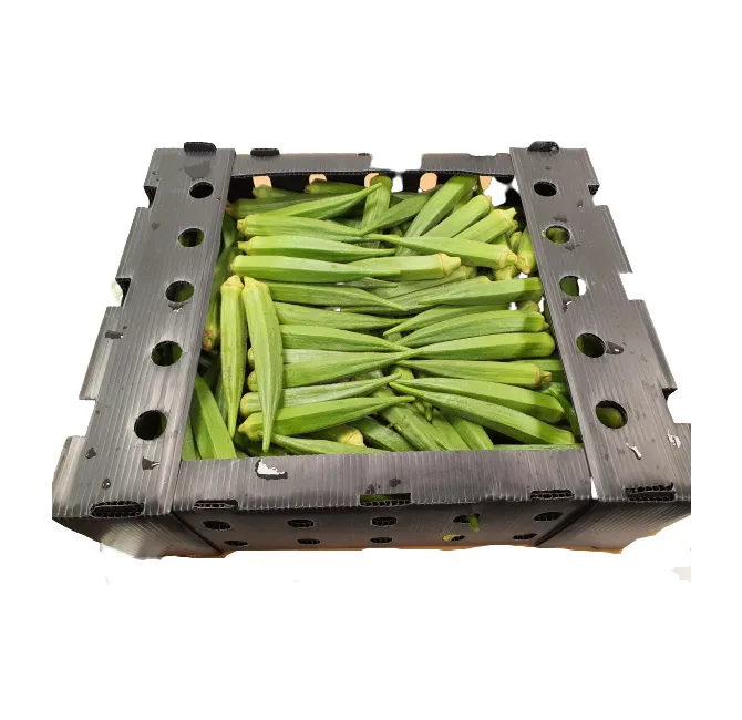 Okra, 1x4kg