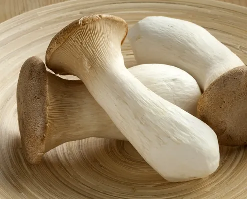 King Oyster Eryingi Mushroom, 1x2kg