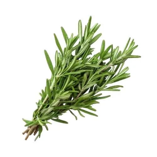 Rosemary, 1x50g