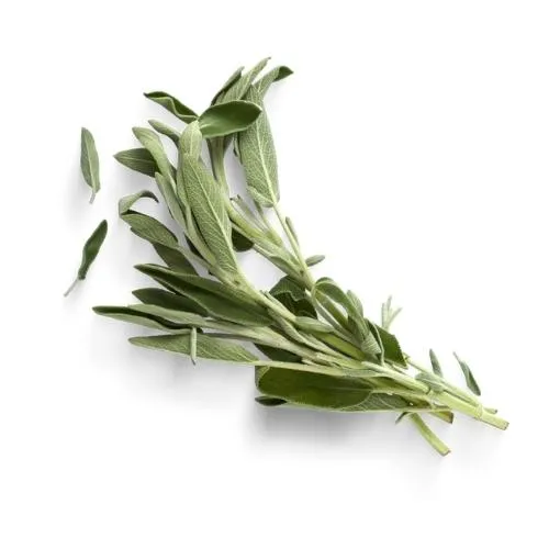 Sage, 1x50g