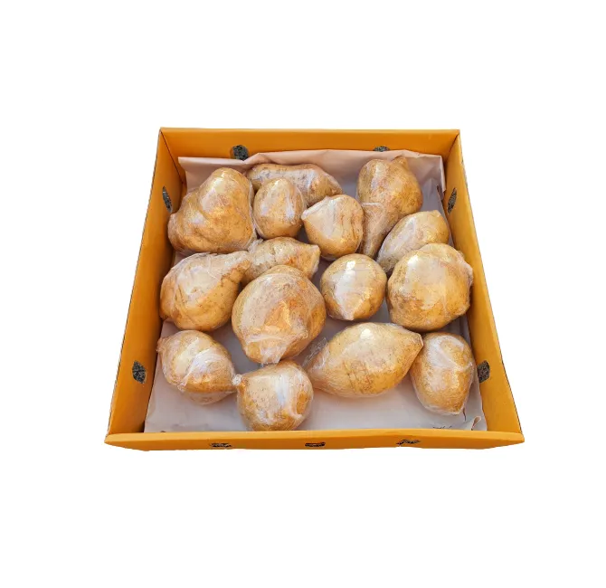Yam Beans Jicama, 1x1kg