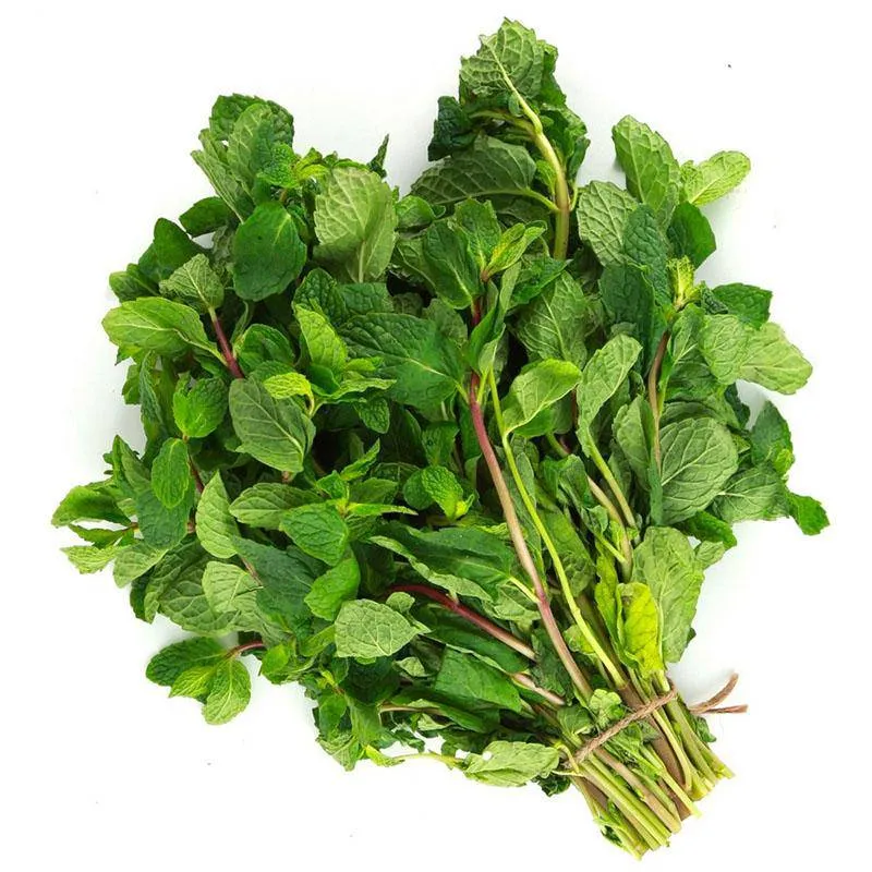 Mint, 1xBunch