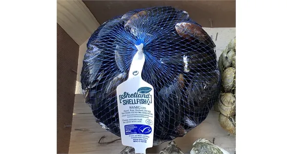 Fresh Live Scottish Mussels, 1x1kg