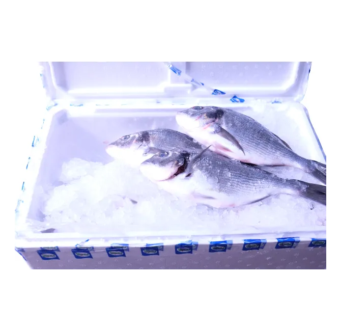 Fresh Farmed Sea Bream Whole 4-6, 1x6kg