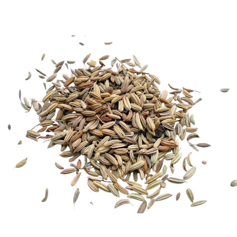 Natco Fennel Seeds, 1x1kg