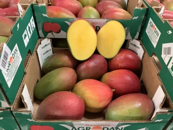 Mango Agrodan, 1x9pcs