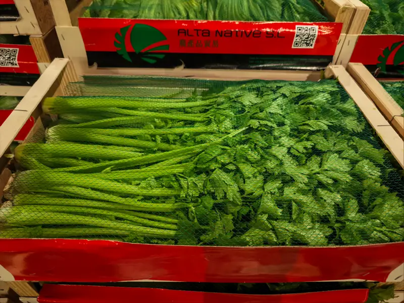 Chinese Celery, 1x4kg