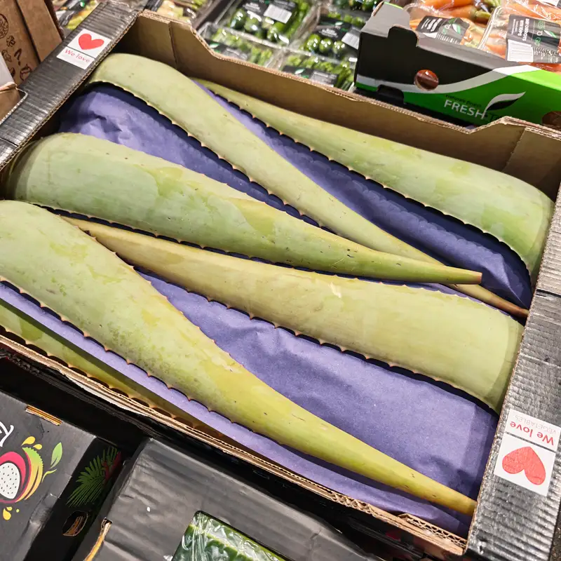 Aloe Vera, 1x4kg