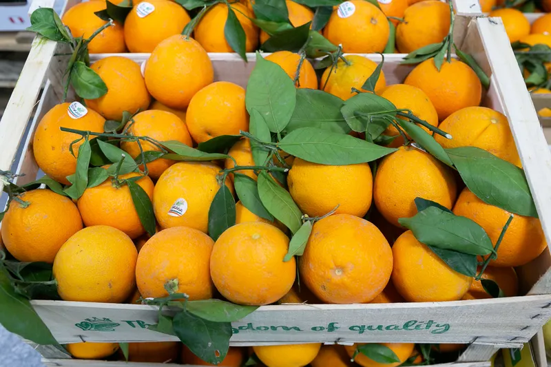 Oranges, Size 42-48 15kg