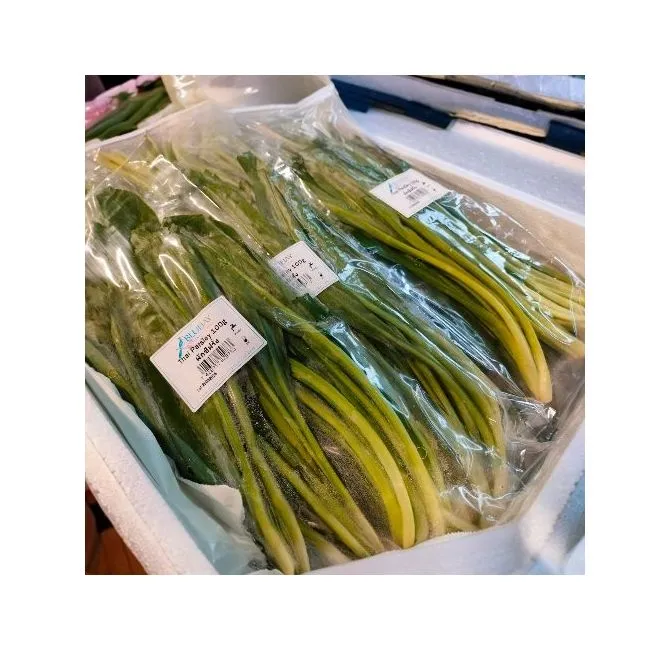 Thai Parsley, 1x100g