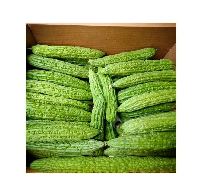 Fresh Bitter Melon, 1x5kg