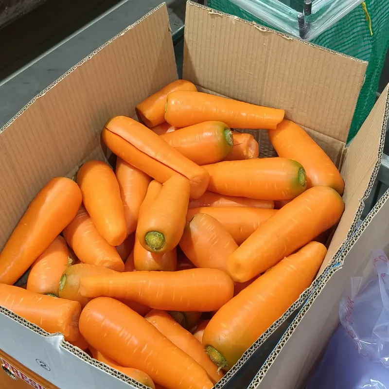 Donkey Carrots, 1x10kg