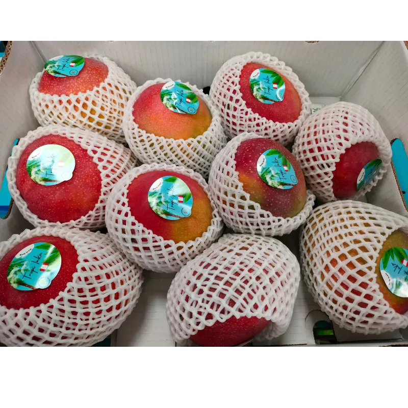 Premium Kent Air Mangoes, 1x12pcs