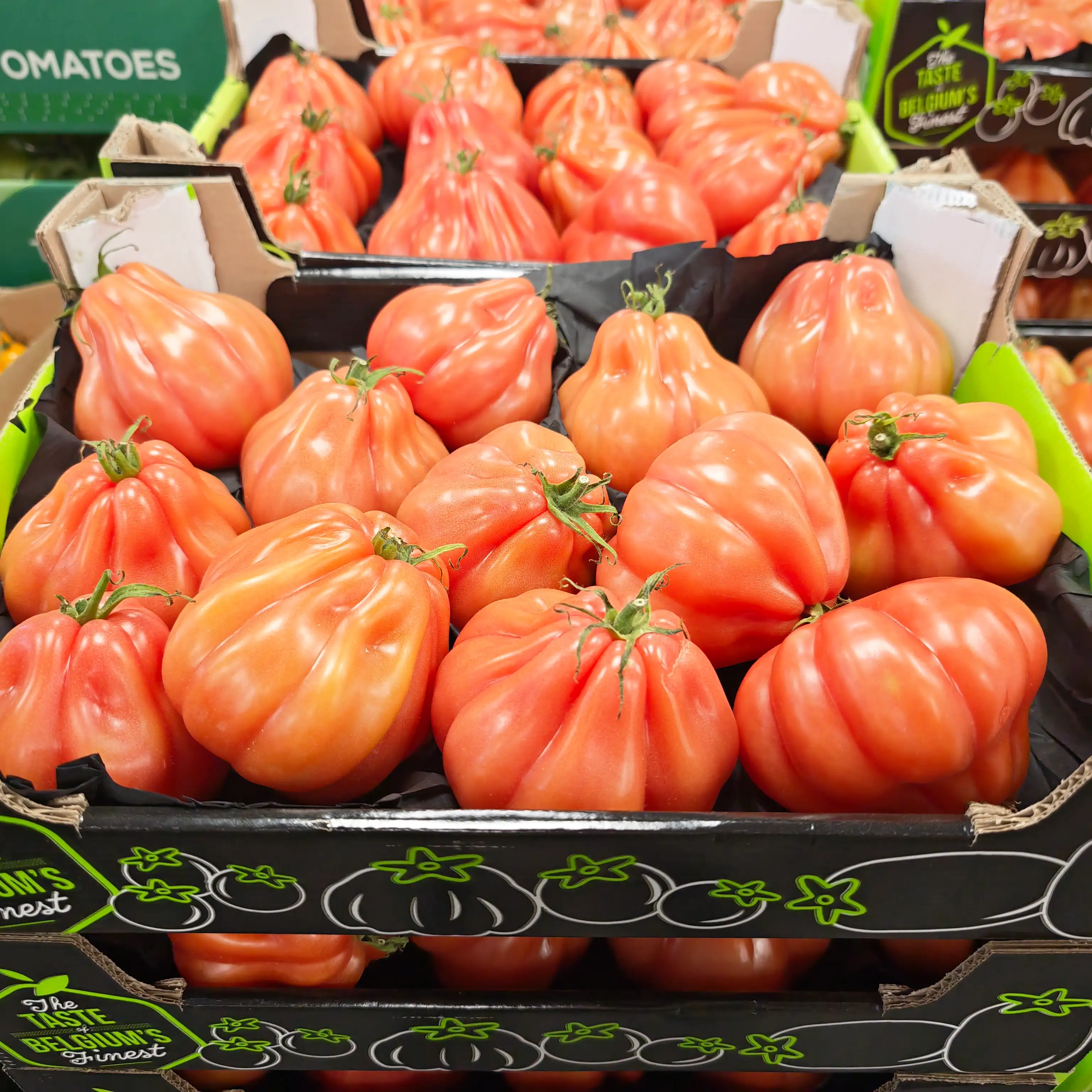 Beef Tomatoes, 1x3kg