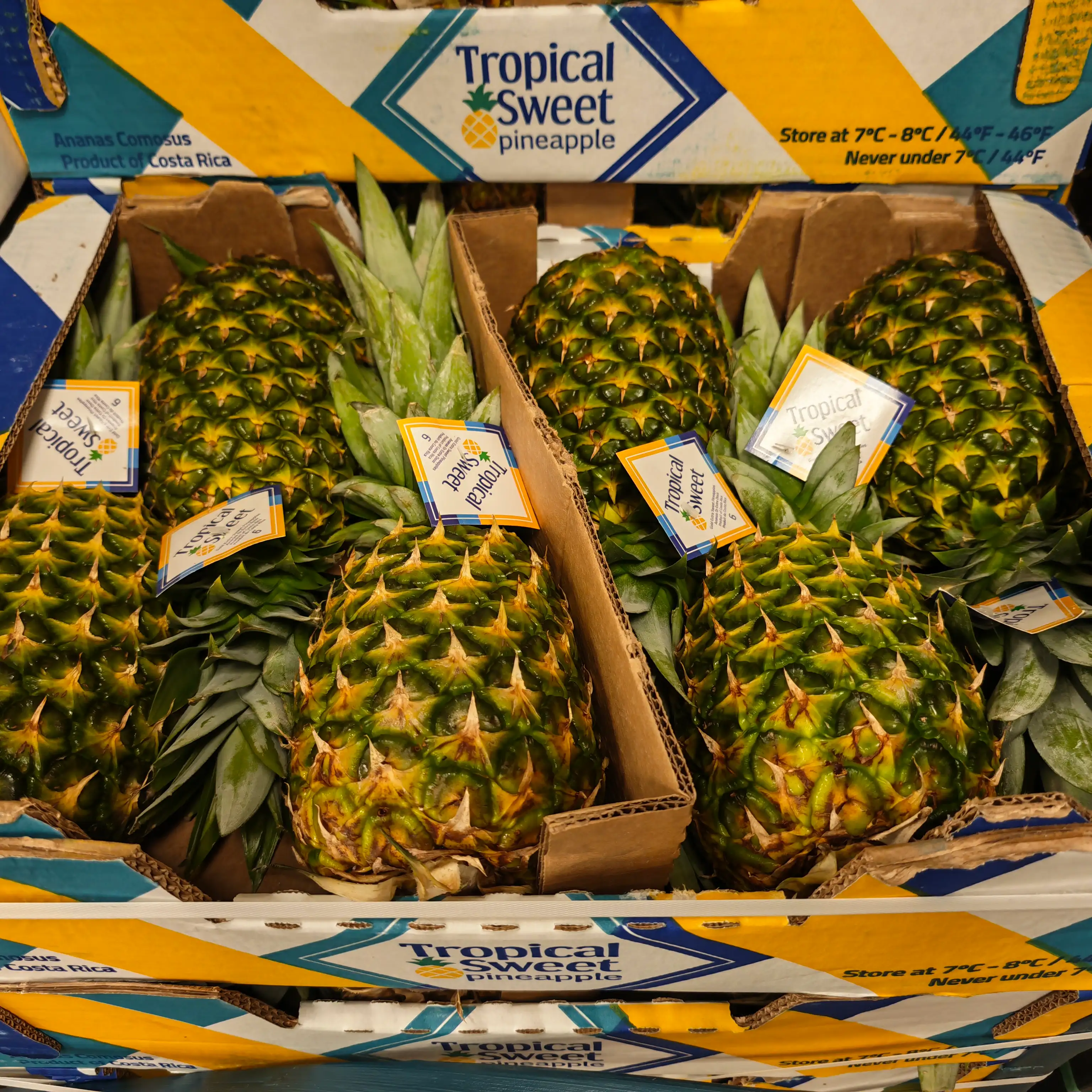 Pineapple, 1x6pcs
