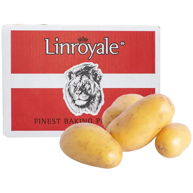 Linroyale Baking Potatoes, 1x40pcs 15kg