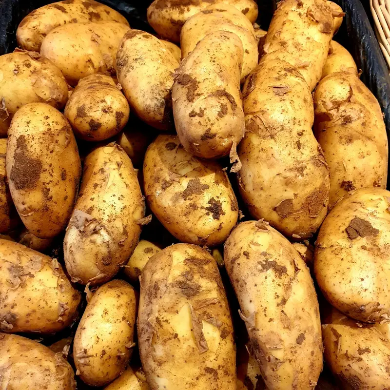 Cyprus Potatoes, 1x20kg