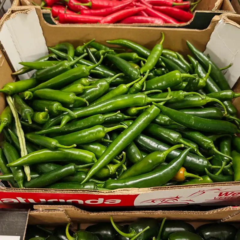 Green Long Chillies, 1x3kg