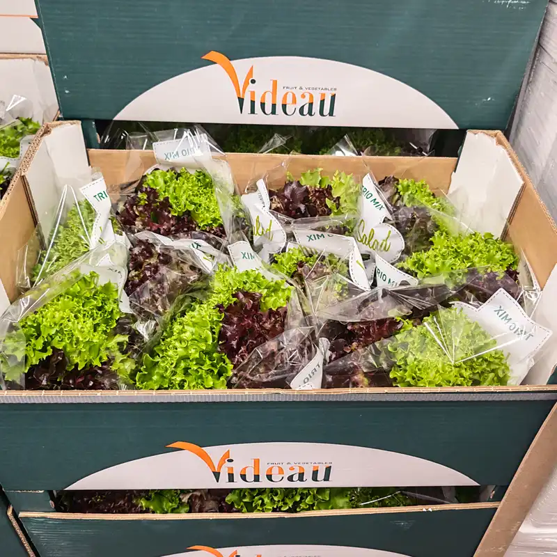 Mix Leaf Salad, 1x10pcs