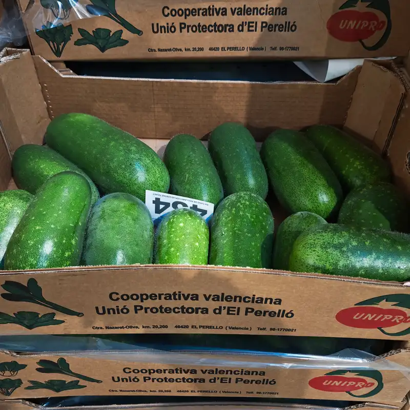 Chinese Gourd, 1x6kg
