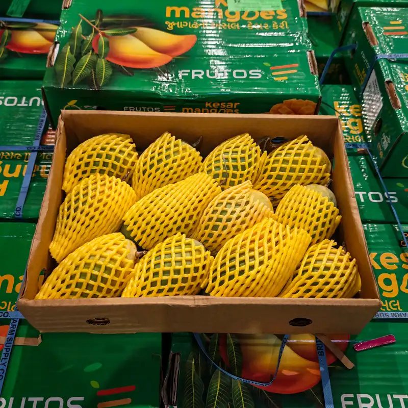 Kesar Mango, 1x12pcs