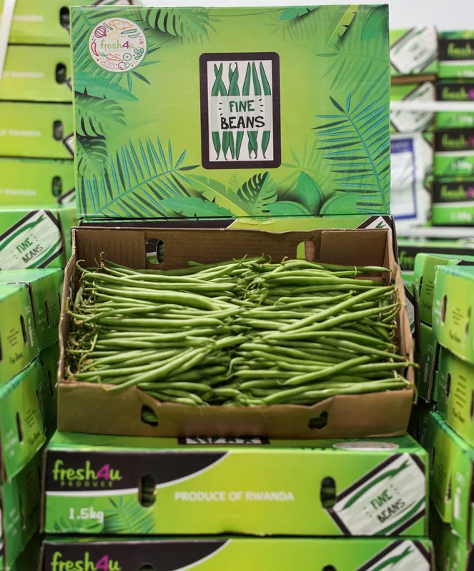 Fine Green Beans, 1x1.5kg