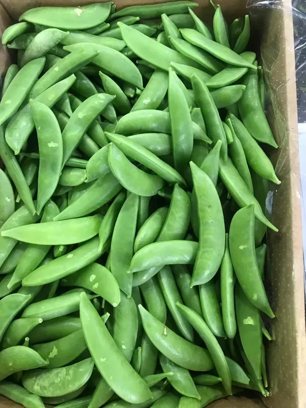 Sugar Snaps, 1x1.5kg