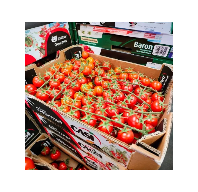 Cherry Vine Tomatoes, 1x3kg