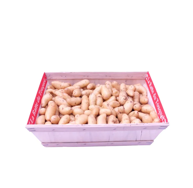 La Ratte Potatoes, 1x5kg