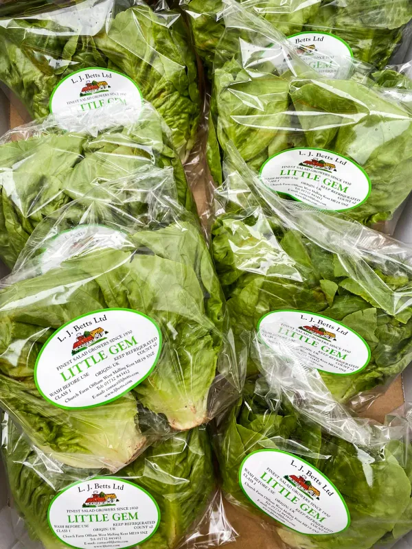Little Gem Lettuce, 10x2pcs