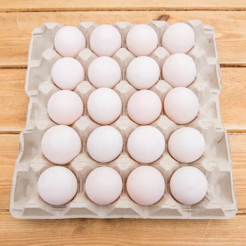 Fresh Duck Eggs, 1x20pcs