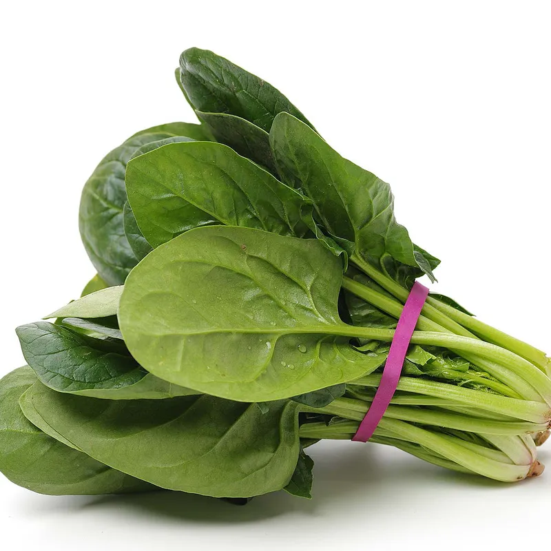 Fresh Green Spinach, 1x20 Bunches