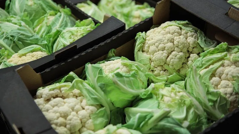 Cauliflowers, 1x6pcs