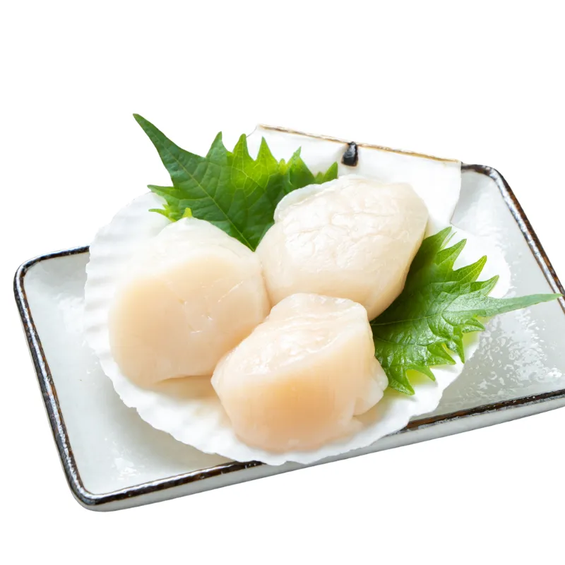 10-20 Frozen Scallop Roeless, 1x1kg IQF