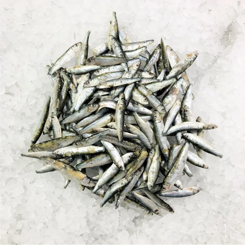 White Bait IQF, 1x454g