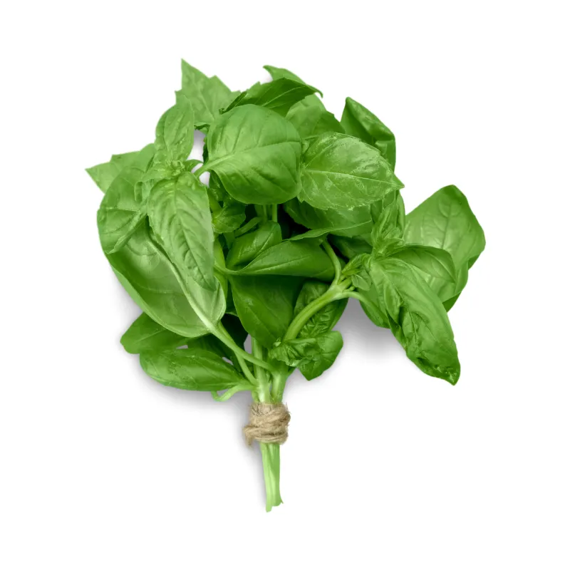 Basil, 1x50g