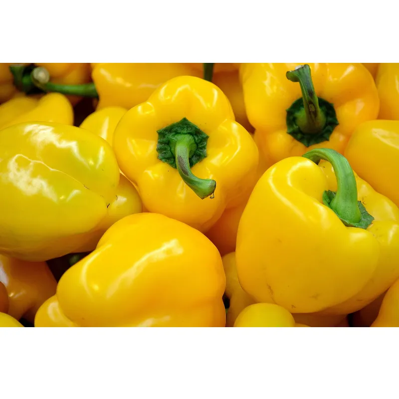 Yellow Bell Peppers, 1x5kg