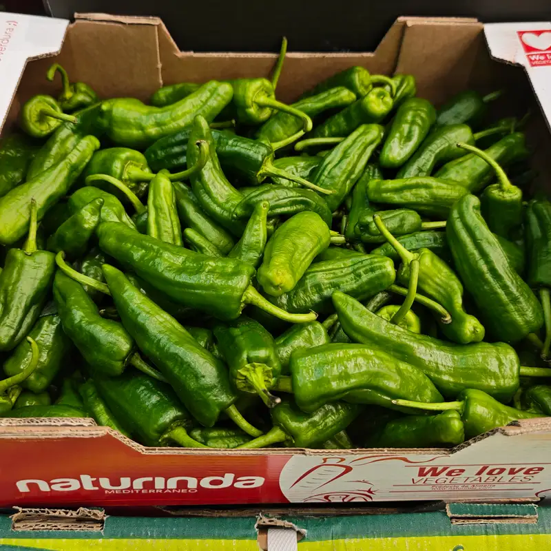 Padron Peppers, 1x2kg